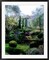 Framed Art Garden of Lady Dream by Piet Bekaert 35 1/2 x 27 1/2